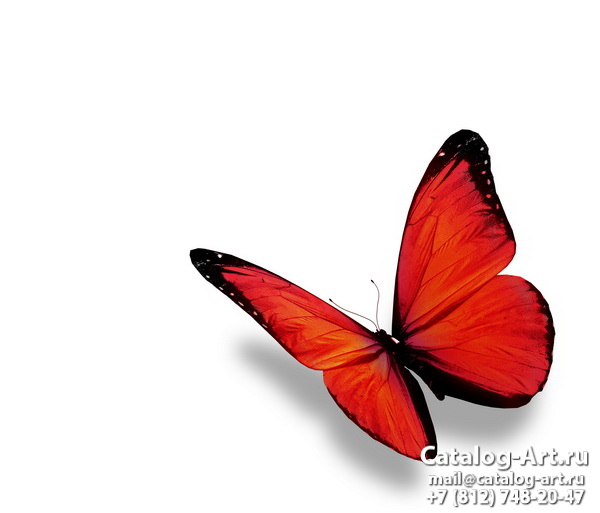  Butterflies 49